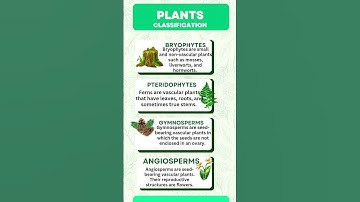Plant Kingdom classification|Classification of plant|#pteridophytes #angiosperms #shorts#bryophytes