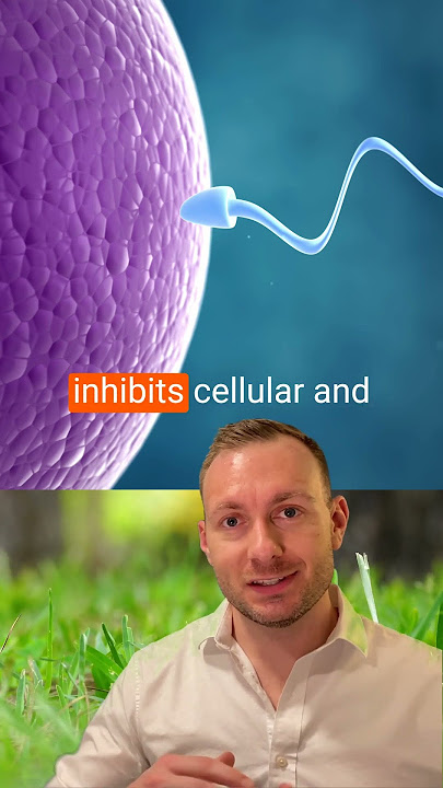 Coffee Affects FERTILITY