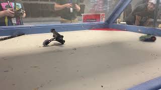 Breakpoint vs. Sleep Deprived - Fight 5 - Antweight Battlebots - Bayside First State Fights