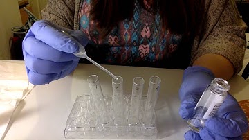 Synthesis of Fragrant Esters Lab