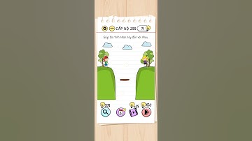 Brain test có giải thích tiếng Việt cấp độ 255