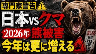 Experts warn! Bear attacks will escalate further if this continues
