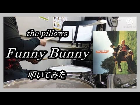 the pillows_Funny Bunny_叩いてみた (the pillows_Funny Bunny_Drum cover)