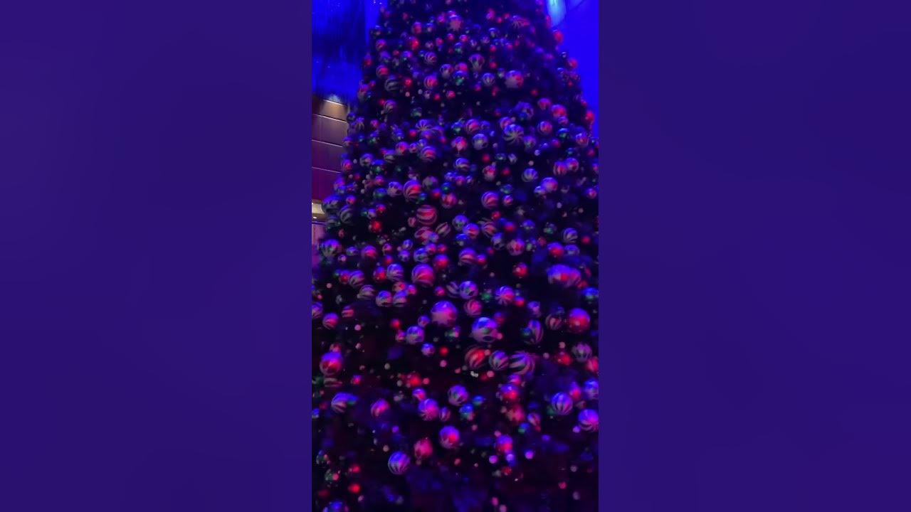 Australia, Melbourne Crown Casino Christmas trees beautiful for you YouTube
