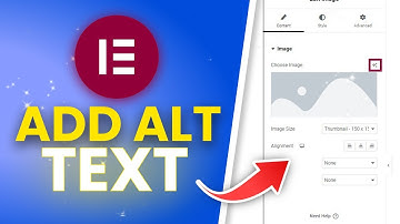 How To Add ALT Text To Image In Wordpress Elementor (Full Guide)