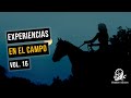 Experiencias en el campo vol 16 historias de terror