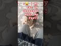 ቢሱዬ እግሬ ስር ምን እየፈለገች ነው? 😂 | My Cat is Obsessed with My Feet!