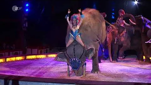 Stuttgart verbietet Wildtiere im Zirkus ZDF heute - in Deutschland
