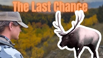 2025 Public Land Archery Elk Hunt (The Finale) 