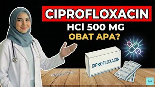 Ciprofloxacin HCl 500 mg What medicine Uses, Dosage and Explanation from Doctors