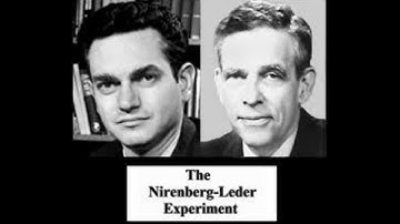 Nirenburg, Matthaei, and Leder Experiments