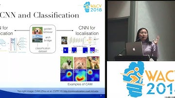 WACV18: Segmentation and Shape Extraction from Convolutional Neural Networks