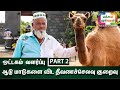 ஒட்டகம் வளர்ப்பு|ஆடு மாடுகளை விட தீவணச்செலவு குறைவு|INDIAN CAMEL BREEDING FARM|OTTAGAM VALARPU|PART2