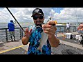traveling and fishing monster fish in Florida  part 2