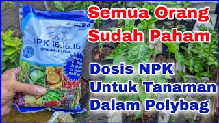 Dosis Dan Cara Pakai NPK Mutiara Untuk Tanaman Dalam Polybag
