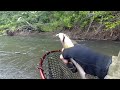 Рыбалка на хариуса в июне 2024 🐟