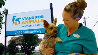What It Means to Work at a Nonprofit Veterinary Clinic by Stand For Animals 400 views 1 year ago 3 minutes, 53 seconds