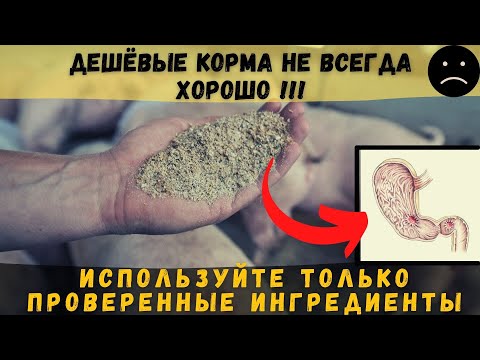 Не покупаете дешевый