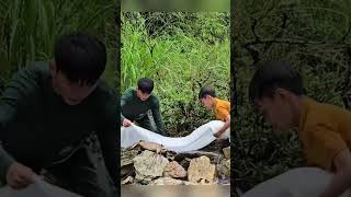 part 1.. Highland boy- meets new friend and together they stack stones to dam a stream to catch fish