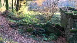 MUIÑO EN GRAÑA DE UMIA - QUINTILLAN
