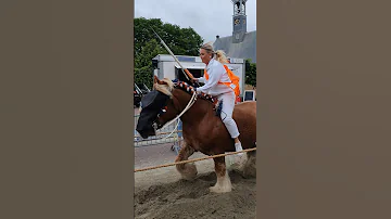 ?? Ringrijden Koudekerke ????  Nederland @TravelwithHugoF  #ringrijden #horses #koudekerke #netherlands