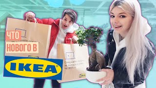 НОВИНКИ В ИКЕА | ЗАКУПИЛИСЬ  В IKEA | ВЛОГ