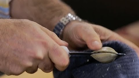 Andrew Zimmern Cooks: How To Shuck Clams