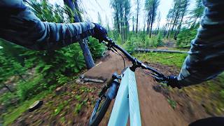 POV: Loan Wolf in the rain - Bend Oregon