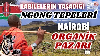 Afrikanın Gizemli Doğasında Bir Keşif Ben Zebra