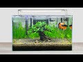 Diy simple aquasacpe betta fish for office  how to make aquarium decoration ideas  mr decor 179