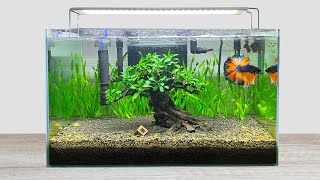 DIY Simple Aquasacpe Betta Fish For Office  How To Make Aquarium Decoration Ideas  MR DECOR #179