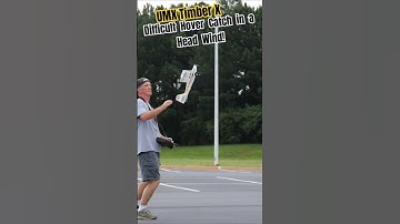 UMX Timber X Sketch Hover Catch! #new #rcplane #aviation