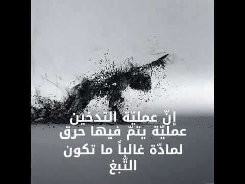 مشروع الحاسب التدخين