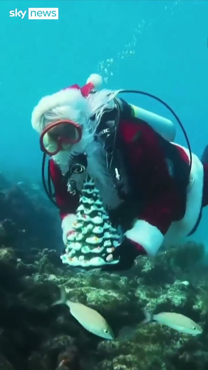 Father Christmas spotted scuba diving in Florida