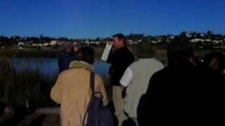 Tom Troy Presents... Audubon Christmas Bird Count