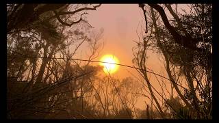 Mt Warning at Sunrise 4k - You & Me (Flume Remix)
