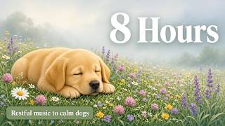 8 Hours Soft Music to Calm Dogs to Sleep | Breathing Cartoon Labs (No Talking) screenshot 3