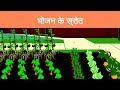 भोजन के स्रोत | Sources of Food | Herbivores | Carnivores | Omnivores | In Hindi | iPrep App