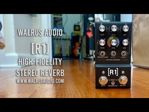 WALRUSAUDIO　MAKO R1  Stereo Reverb リバーブ Aetos 8-output Power Supply 120V