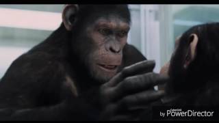 Rise of the planet of the apes-my demons.