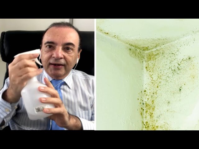 Dr. Bactéria ensina a maneira certa de se livrar do mofo class=