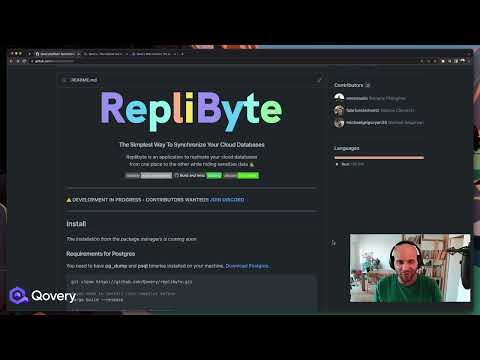 What is RepliByte