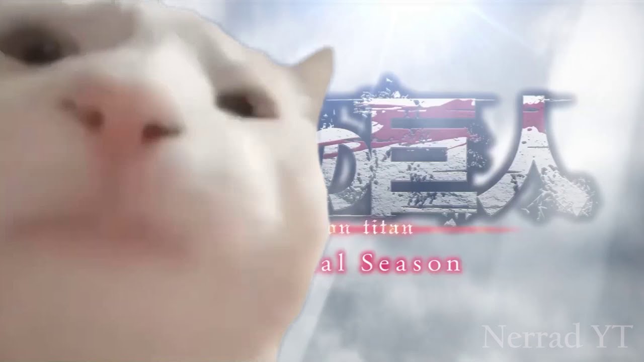 Cat Vibing To Attack On Titan: The Final Season - Opening 6『My War』By  Shinsei Kamattechan - Youtube