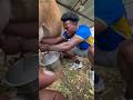 மிக குறைந்த விலையில் பால் கறவை இயந்திரம் விற்பனைக்கு Bestie Milking Machine sales | #dairyfarm
