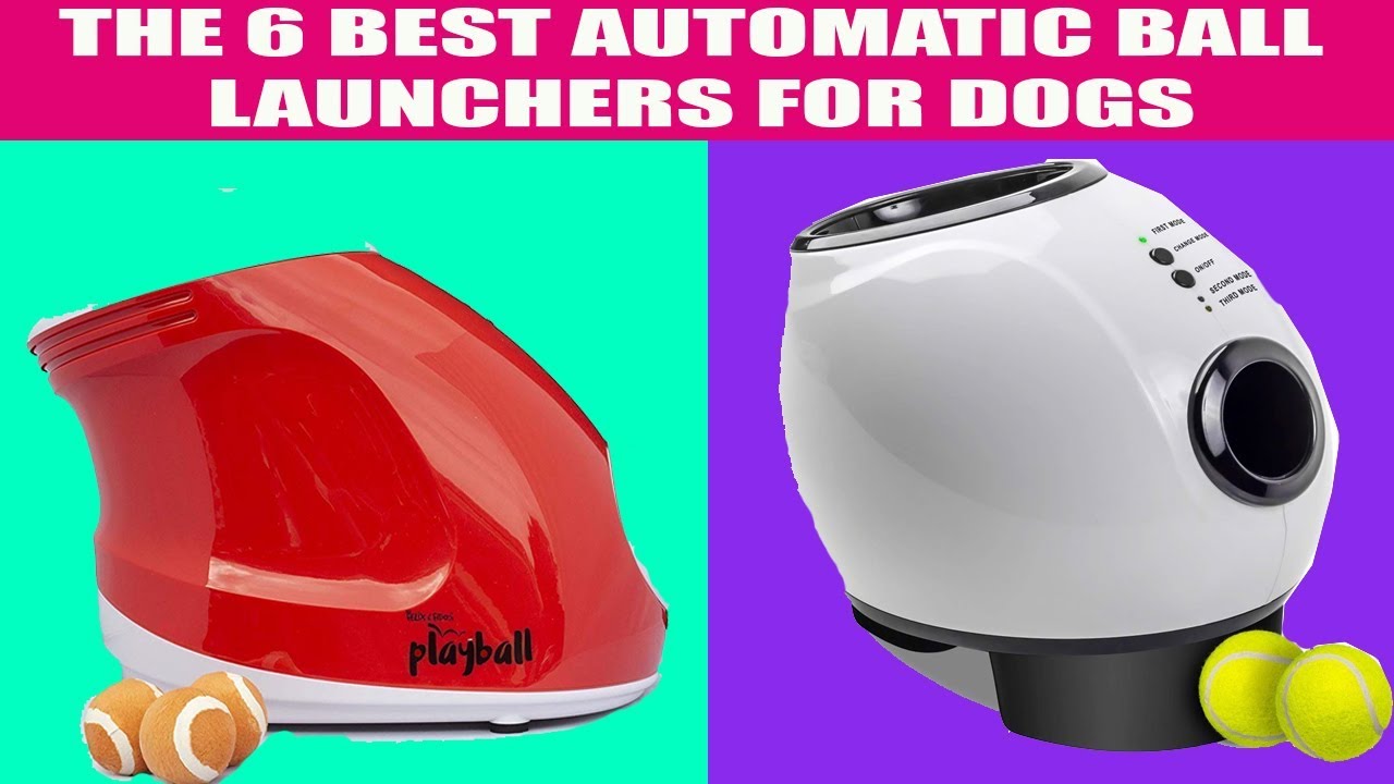 THE 6 BEST AUTOMATIC BALL LAUNCHERS FOR DOGS YOU CAN BUY ON