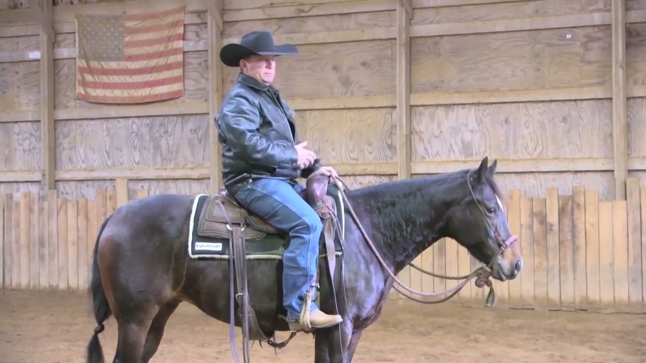 Create a better stop and backup