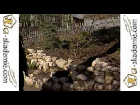001 - Декоративные кустарники.