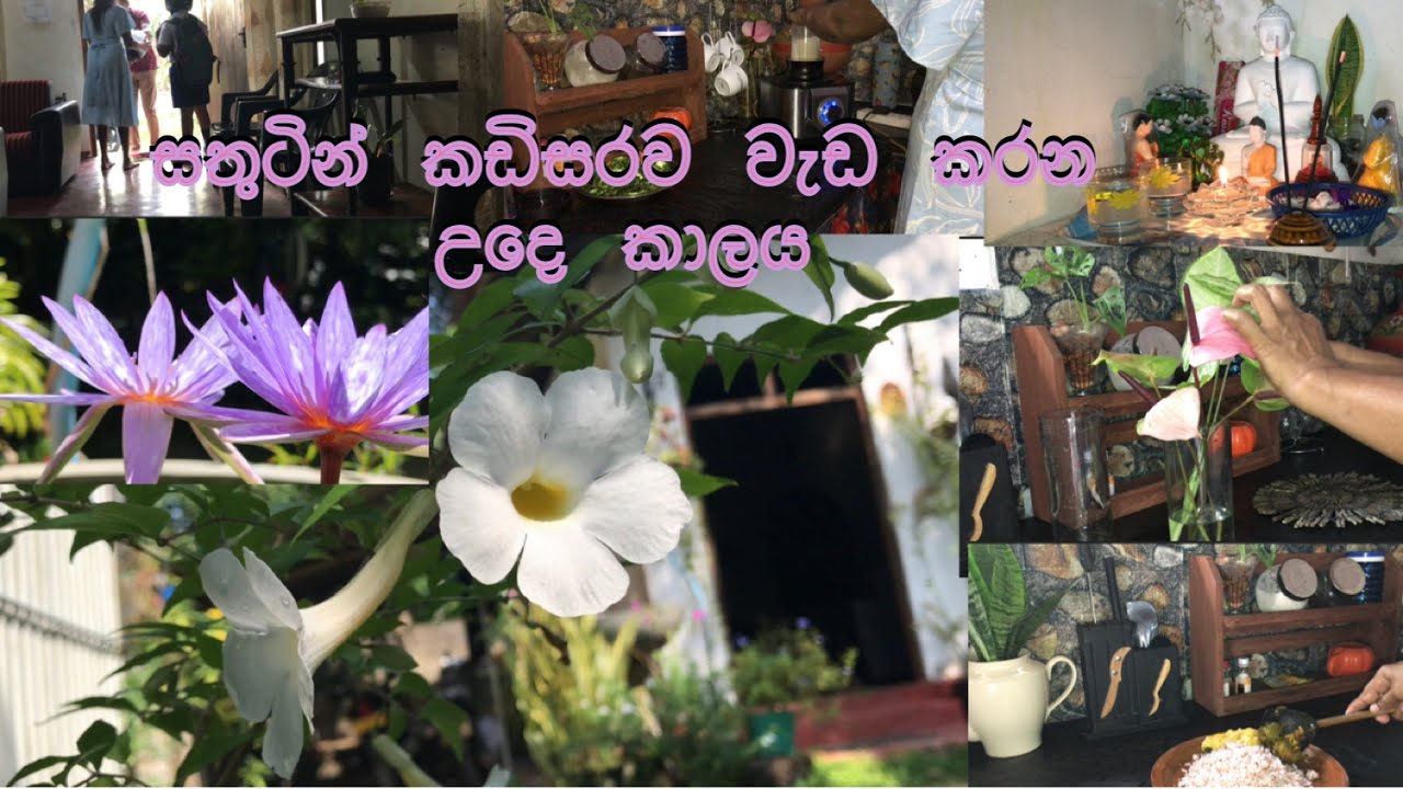 💁🏻‍♀️හිත සතුටින් කඩිසරව ගෙවන මගේ උදේකාලය🏡🌷