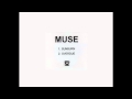 Muse - Sunburn (Demo Version) HD
