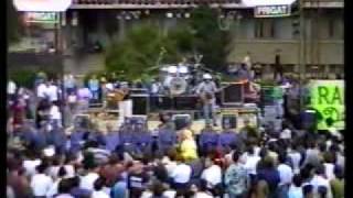 La mijloc de padure - Semnal M